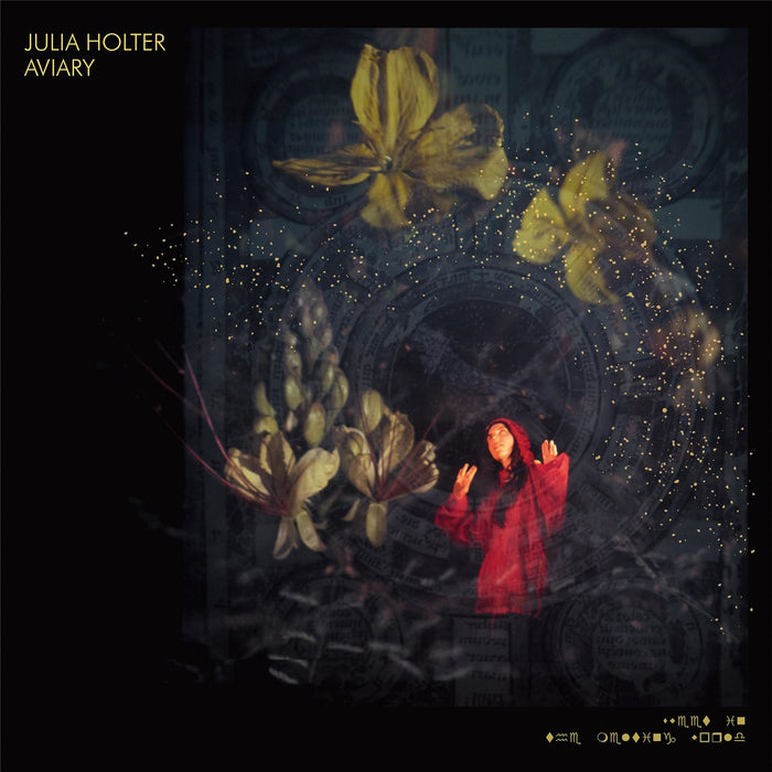 Julia Holter - Aviary 2x Vinyl LP