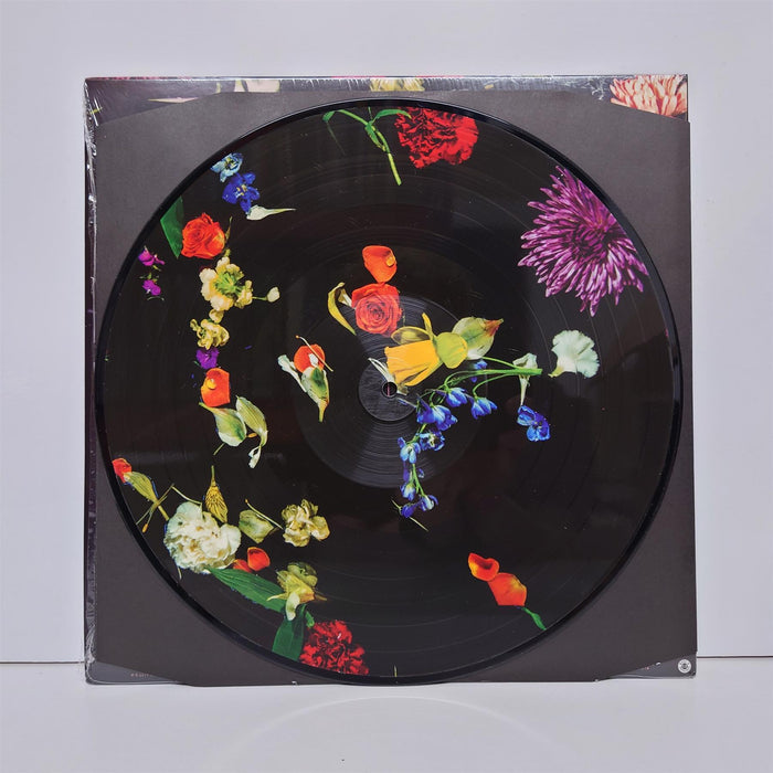 Blaqk Audio - Only Things We Love Limited Edition Picture Disc Vinyl LP