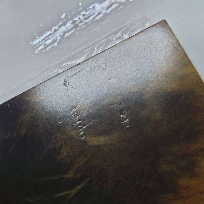 Paul Simon - Paul Simon Limited Edition 180G Vinyl LP Remastered