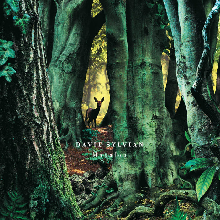 David Sylvian - Manafon 2x 180G Vinyl LP Reissue