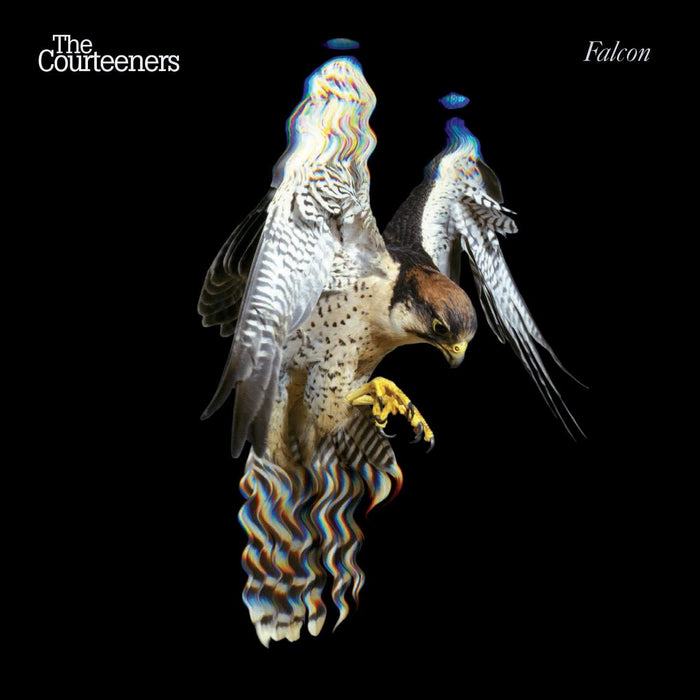 The Courteeners - Falcon CD