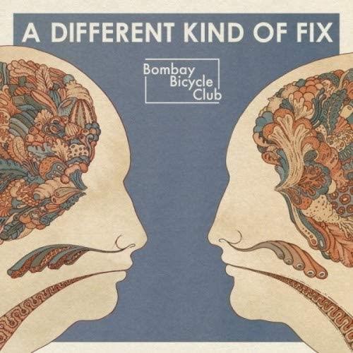 Bombay Bicycle Club – A Different Kind Of Fix Vinyl LP New vinyl LP CD releases UK record store sell used