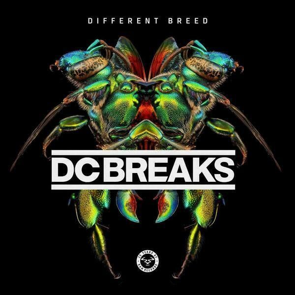 DC Breaks - Different Breed 3X 12" Vinyl LP Box Set New vinyl LP CD releases UK record store sell used