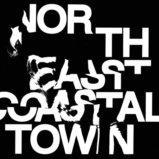 LIFE - North East Coastal Town New collectable releases UK record store sell used