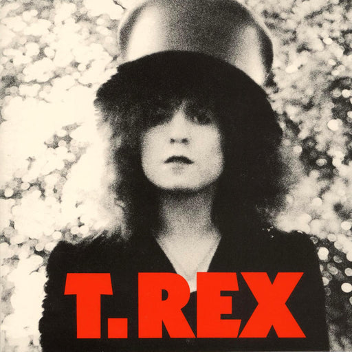 T. Rex - The Slider Limited Edition 2x 180G Silver/Red LP New collectable releases UK record store sell used